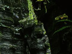 -梭布垭石林景区