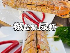 -蚝专家(北滘店)