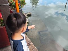 -晓琦农家菜馆·地道农家菜