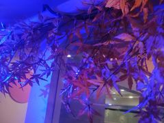 -巴特餐饮6加1音乐餐吧·新疆菜