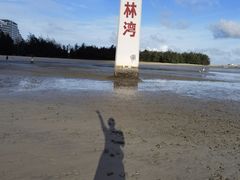 -东郊椰林
