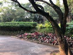 -青芝山风景名胜区