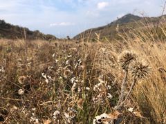 -白草畔自然风景区