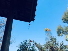 -重庆南山海昌汤都
