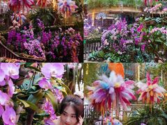 -正佳雨林生态植物园