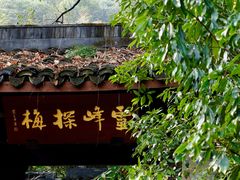 -杭州植物园