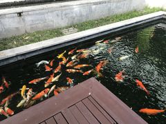 -曼谷铂尔曼皇权酒店
