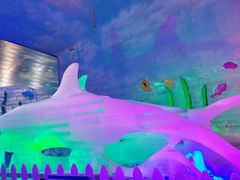 -世界之窗阿尔卑斯冰雪世界