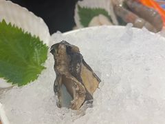 -一绪に寿喜烧自助(世茂广场店)