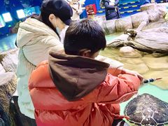 -重庆欢乐海底世界