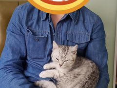 -圣宠宠物(平吉花卉市场店)