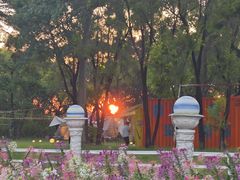 -广东花都香草世界旅游度假区
