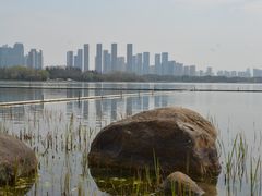 -渤公岛生态公园