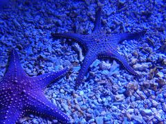 -波塞冬旅游度假区