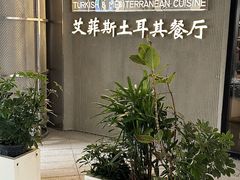 -Efes Turkish & Mediterranean Cuisine 艾菲斯餐厅(陆家嘴店)