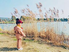 -上海都市菜园