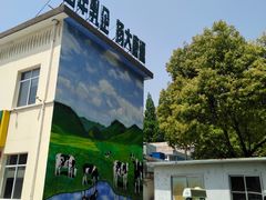 -扬大康源乳业鲜奶吧(大学北路店)