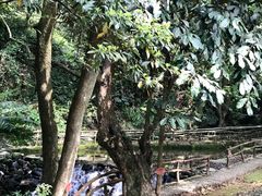景点-灵光寺