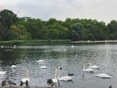 -海德公园