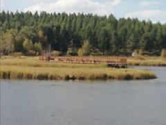 -塞罕坝国家级自然保护区