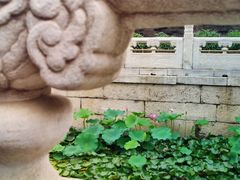 -颐和园
