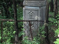 -阳台山自然风景区