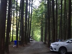 -山王坪喀斯特国家生态公园