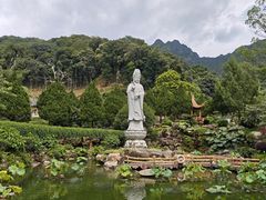 -灵光寺