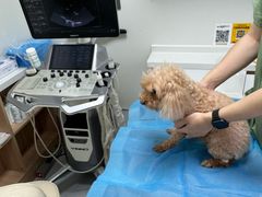-达爱动物医院·犬猫分区·CT·复杂眼科(远洋山水分院)