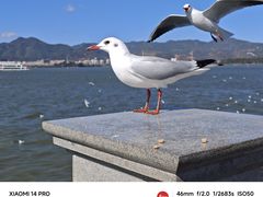 -海埂大坝