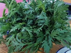 -钰洁腊排骨火锅