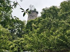 -江心屿景区