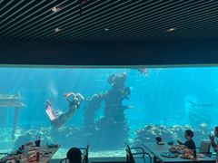 -涛·海底餐厅·美人鱼·自助餐·海底隧道(三亚海棠湾洲际度假酒店)