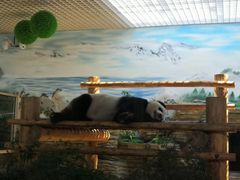 -西霞口神雕山野生动物世界