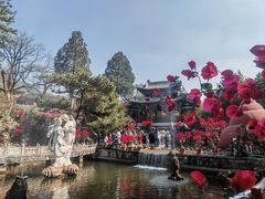 -红螺寺