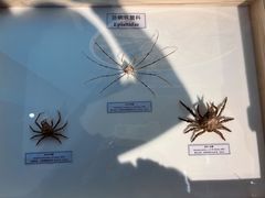 -中国湿地博物馆