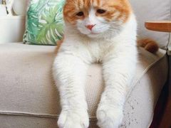 -东北人粗粮饺子坊(南山店)