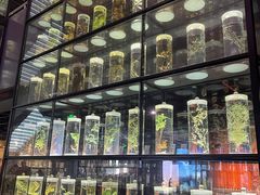 -广东中医药博物馆