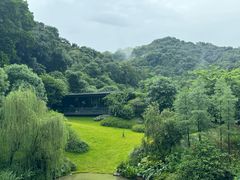 -云溪植物园
