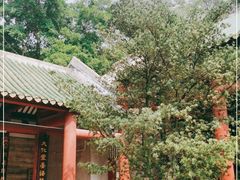 -芦苞胥江祖庙