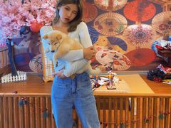 -豆柴町-柴犬主题狗咖(红鼎国际C座店)