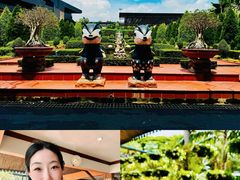 -东芭乐园