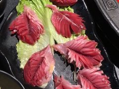 -莽子老火锅(大坪店)