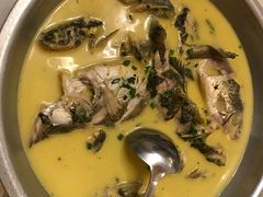 野鱼一锅鲜-巴陵全鱼席(湖南老字号汴河街店 )