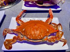 -奔海甄选·活鲜刺身铁板烧自助(太原里店)