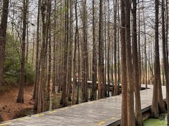 -云龙湖旅游景区