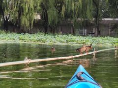 -WhaleSports户外水上运动俱乐部(朝阳公园店)