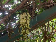 -天鹿湖森林公园