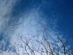 -龙口南山旅游景区