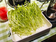 -番食园鲜食火锅(高新店)